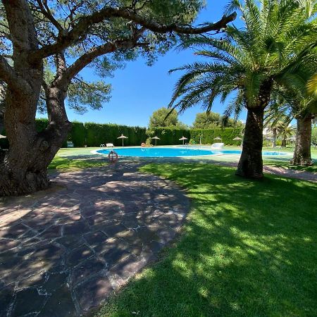 Alcossebre Apartamentos Tres Playas Altamar מראה חיצוני תמונה