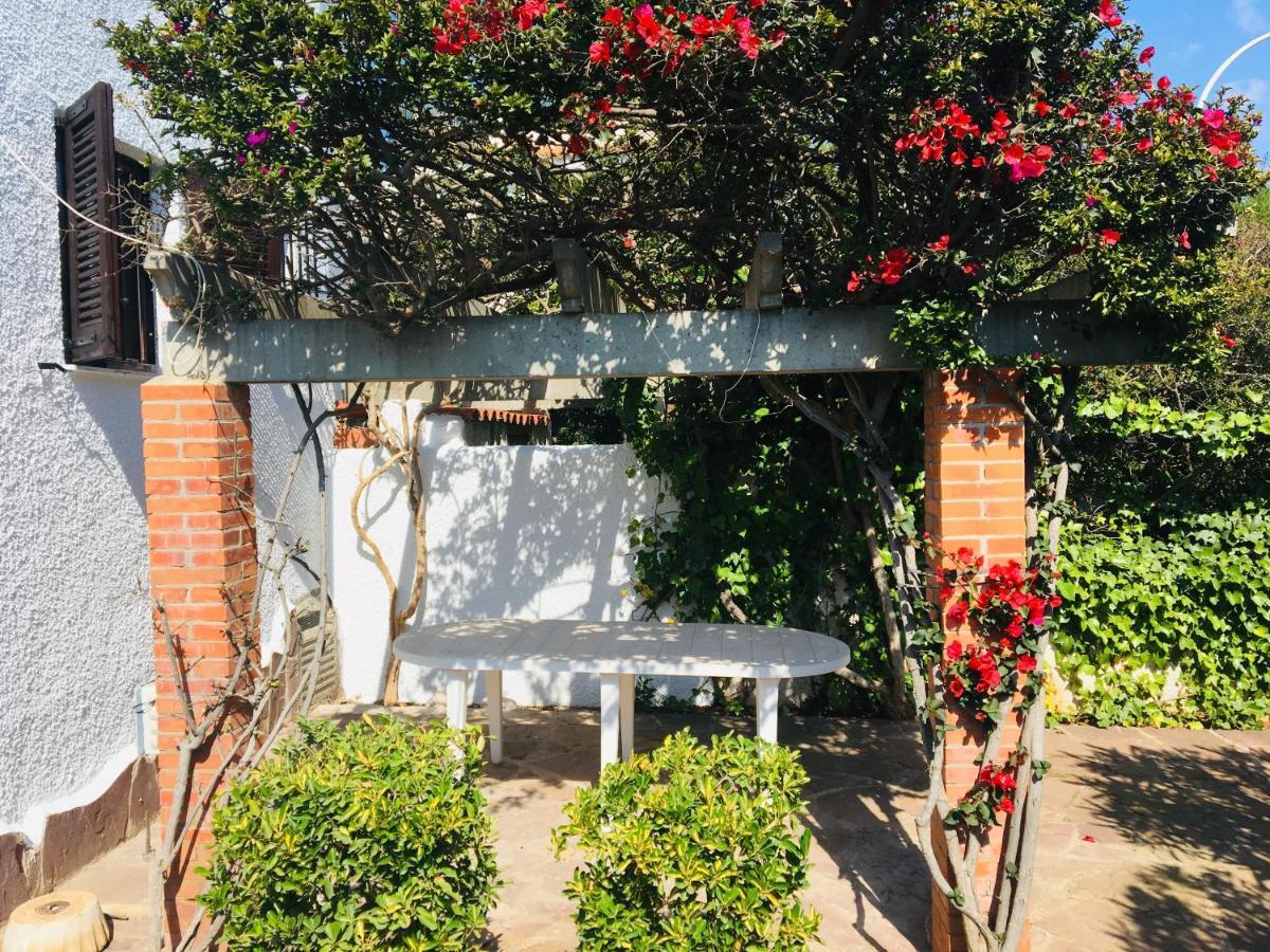 Alcossebre Apartamentos Tres Playas Altamar מראה חיצוני תמונה